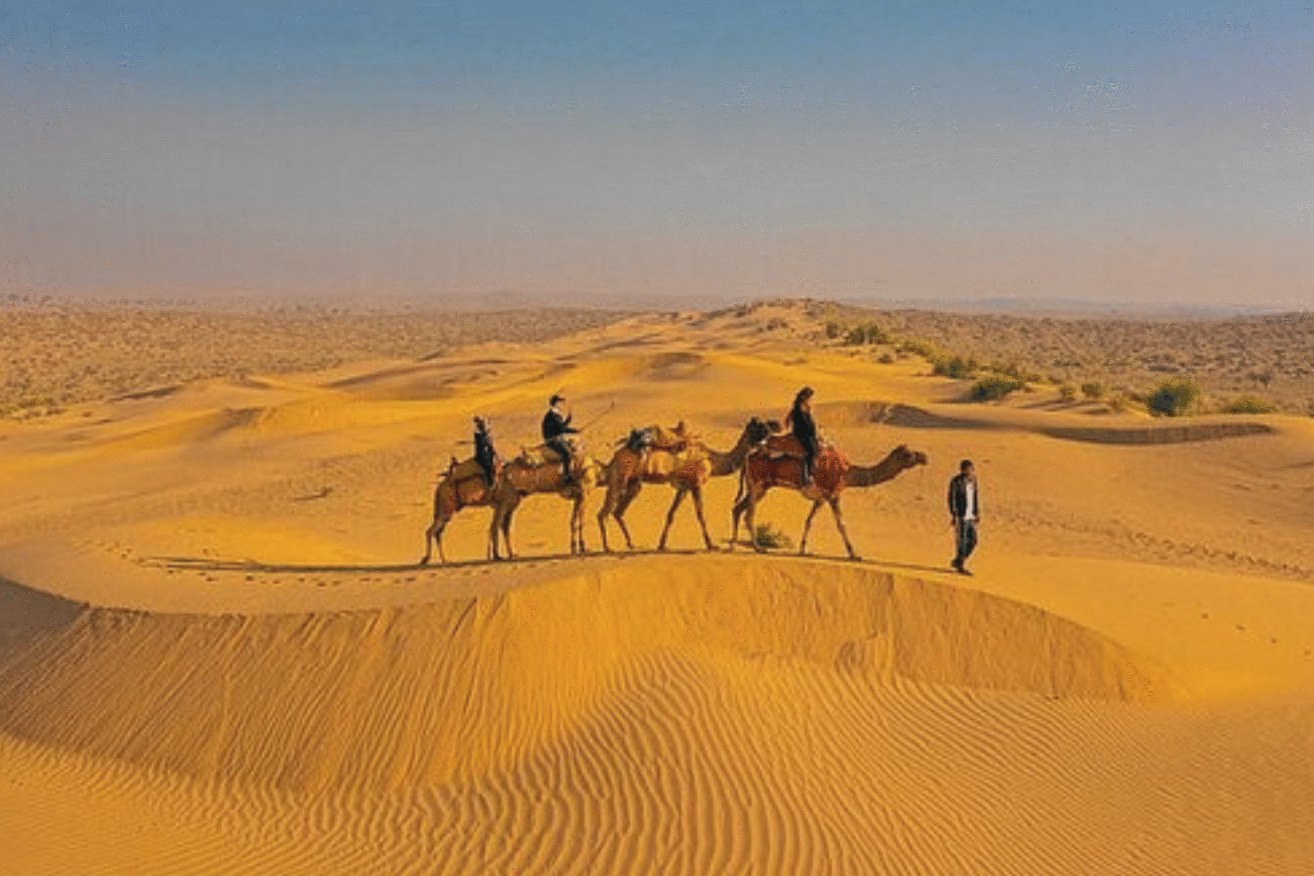 Rajasthan Tour